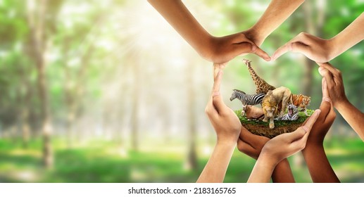 Wildlife Conservation Day. wildlife protection, multiracial human come to build hands in shape of heart to protect the environment. promote conservation wildlife. green background Sun light. Ecology. - Shutterstock ID 2183165765