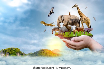 Wildlife Conservation Day Wild animals to the home. Or wildlife protection - Shutterstock ID 1491855890