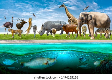Wildlife Conservation Day Wild animals to the home. Or wildlife protection - Shutterstock ID 1494155156
