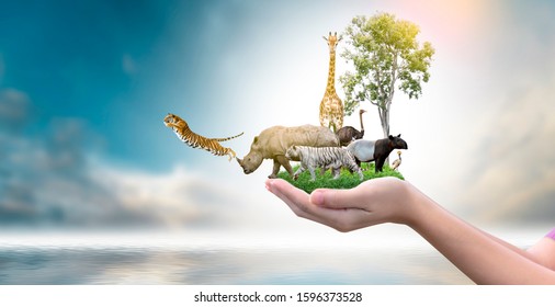Wildlife Conservation Day Wild animals to the home. Or wildlife protection - Shutterstock ID 1596373528