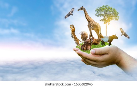 Wildlife Conservation Day Wild animals to the home. Or wildlife protection - Shutterstock ID 1650682945
