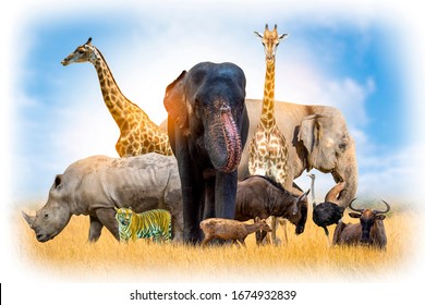 2,660,153 Forest wildlife Images, Stock Photos & Vectors | Shutterstock