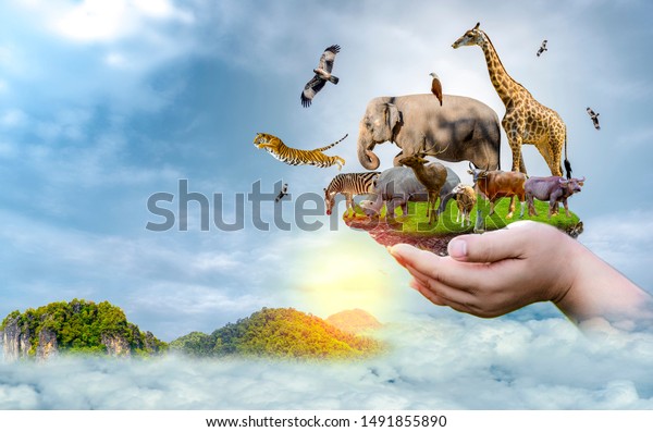 Wildlife Conservation Day Wild animals to the\
home. Or wildlife\
protection