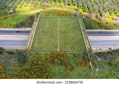 Wildlife Crossing Bridge Allowing Animals A Safe Passage Over A Rural Highway.