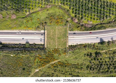 Wildlife Crossing Bridge Allowing Animals A Safe Passage Over A Rural Highway.