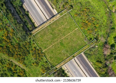 Wildlife Crossing Bridge Allowing Animals A Safe Passage Over A Rural Highway.