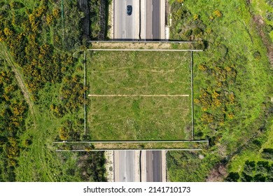 Wildlife Crossing Bridge Allowing Animals A Safe Passage Over A Rural Highway.