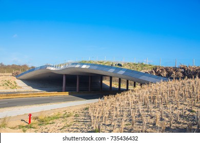 Wildlife Crossing Bridge In The Netherlands. Natural Bridge In The National Reserve.