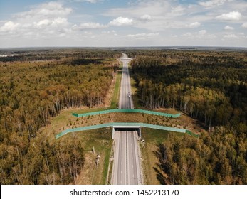 Wildlife Crossing - Bridge Over A Highway In Forest