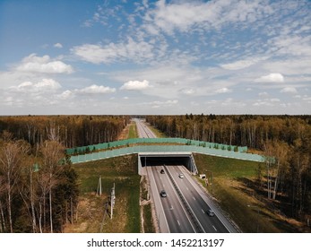 Wildlife Crossing - Bridge Over A Highway In Forest