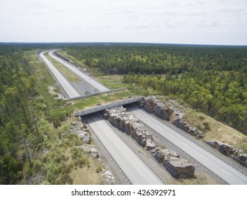 Wildlife Crossing - Bridge Over A Highway In Forest