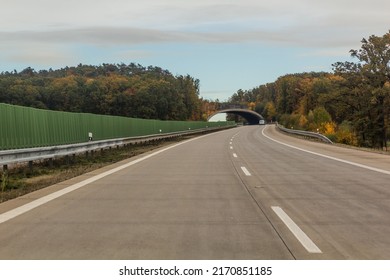 Wildlife Crossing Over D11 Expressway, Czech Republic