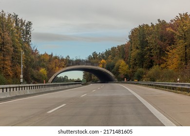 Wildlife Crossing Over D11 Expressway, Czech Republic