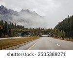 Wildlife crossing over highway through Banff National Park, Canada.