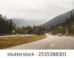 Wildlife crossing over highway through Banff National Park, Canada.