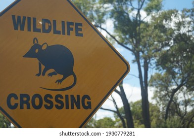 Wildlife Crossing Sign With Forest And Nature In Background