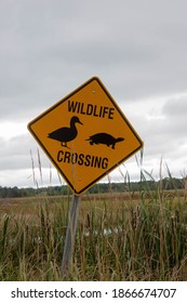 Wildlife Crossing Sign New England