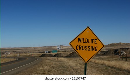 Wildlife Crossing Sign Under A Blue Sky