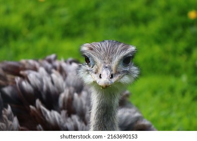 Wildlife Found In Northumberland Zoo