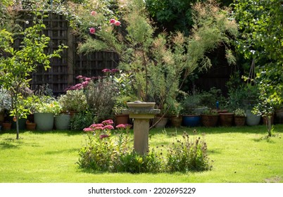 Wildlife Friendly Suburban Garden With Bird Bath, Pink Sedum Flowers In Foreground, Container Pots, Flowers And Greenery. Photographed In Pinner, Northwest London UK.