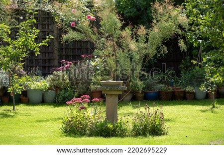 Wildlife friendly suburban garden with bird bath, pink sedum flowers in foreground, container pots, flowers and greenery. Photographed in Pinner, northwest London UK.