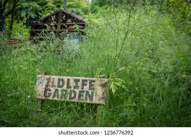 Wildlife Garden Sign Leading Through To Natural Growth