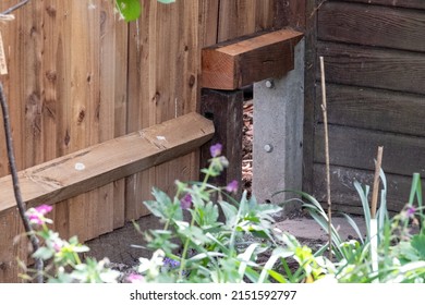 A Wildlife Highway In An Urban Garden In London UK. The Gap In The Wooden Fence Is Large Enough To Let Wildlife, Including Hedgehogs And Badgers, Roam Freely From Garden To Garden. 