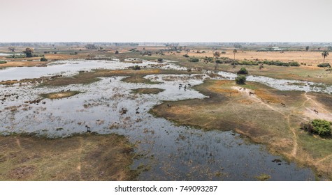 Wildlife In The Okavango Delta (aerial View From A Helicopter)