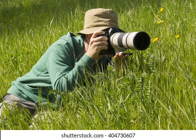 Wildlife Photographer