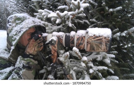 Wildlife Photographer Makes Photos In Winter Storm Full Of Snowflakes With Camera And Lens Covered By Snow.