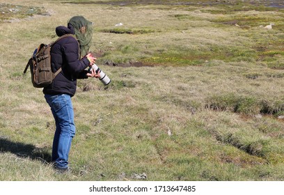 Wildlife Photographer With Mosquito Netting, Camouflage Hat Net In Nature, Greenland