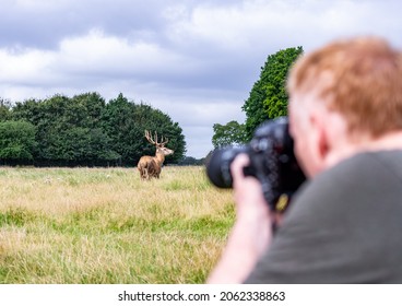 Wildlife photographer taking photos of deer