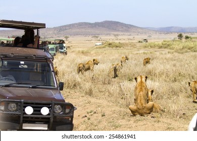 Lion Car Images Stock Photos Vectors Shutterstock