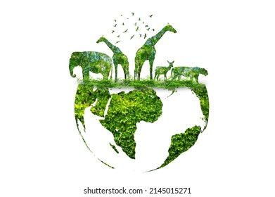wildlife silhouette on earth wildlife conservation concept - Shutterstock ID 2145015271