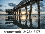 Wildlife at the SunGlow Pier along the Shores of Daytona Beach, Florida.