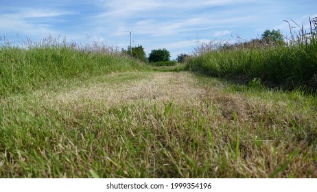 Wildlife Walkway Meadow With Long Grass Blue Sky And A Public Foot Path