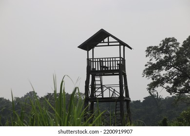 Wildlife watchtower in Nepalese jungle