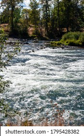 Willamette River In Eugene Oregon
