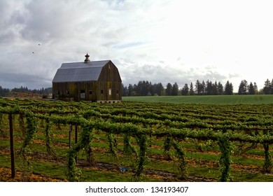 Willamette Valley Barn , Northern Oregon