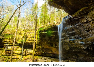 William Bankhead National Forest In Alabama State Of US.