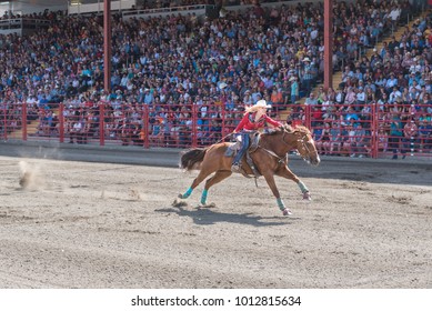 Williams Lake, British Columbia/Canada - July 2, 2016: woman pushes her horse to the finish line during a barrel racing competition at the 90th Williams Lake Stampede, an internationally famous event.