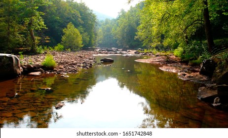 Williams River, Monongahela National Forest, USA, West Virginia