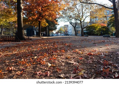 Williamsburg Brooklyn Street Covered In Colorful Leaves During Autumn