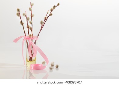 Willow branches with a pink tape in a transparent vase. A bouquet for a Palm Sunday, a white background, a wooden white table, soft focus