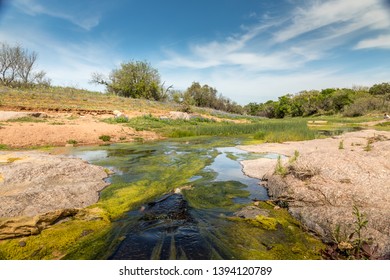 Willow City Loop, Texan Landscape In Spring With Wildflowers