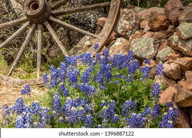 Willow City Loop, Texan Landscape In Spring With Wildflowers