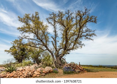 Willow City Loop, Texan Landscape In Spring With Wildflowers And A Wooden Wheel