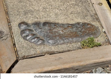 Willow Creek, CA/USA - 7/4/18: Willow Creek, California, Bigfoot Capital Of The World. Bronze Cast Of A Sasquatch Track Outside China Flats Bigfoot Museum. 