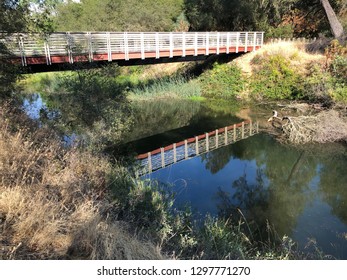 Willow Creek Near Lake Natoma