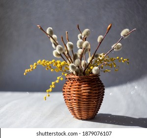 Willow and mimosa branches in a wicker vase - Powered by Shutterstock